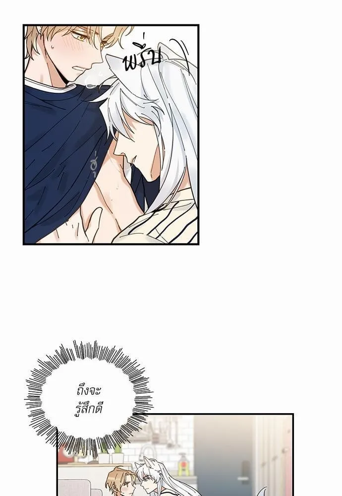 My One and Only Cat ตอนที่ 625 My One and Only Cat ตอนที่ 625