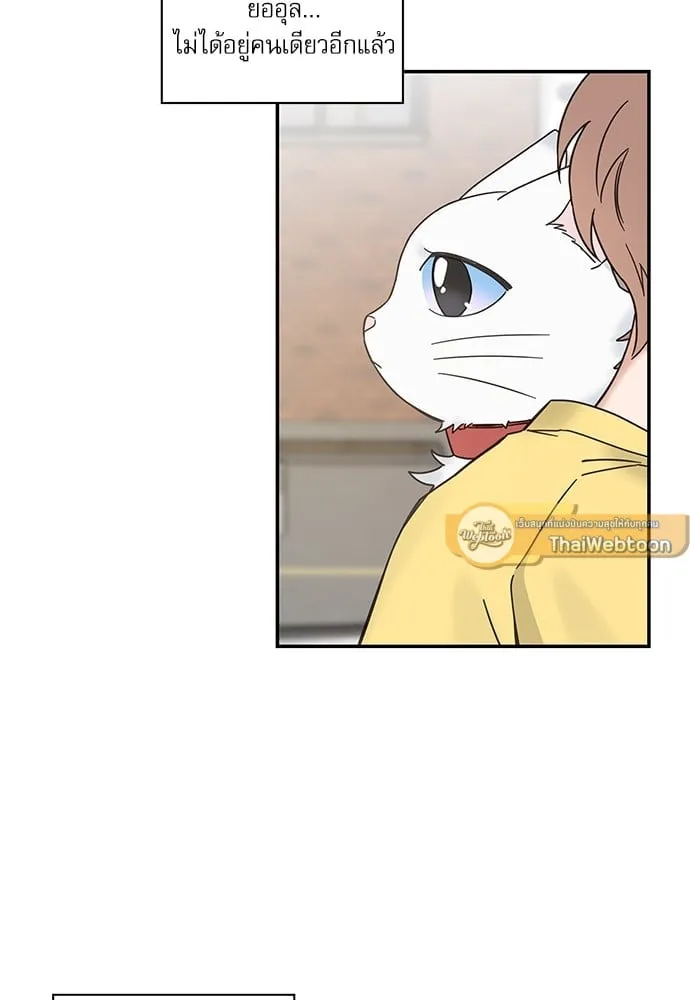 My One and Only Cat ตอนที่ 6254 My One and Only Cat ตอนที่ 6254