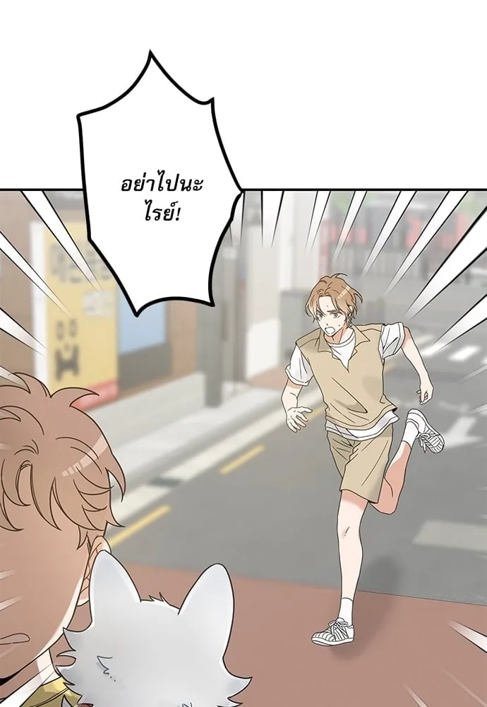 My One and Only Cat ตอนที่ 6257 My One and Only Cat ตอนที่ 6257