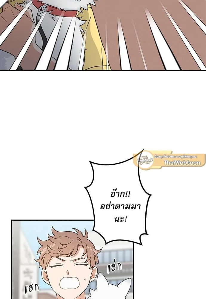 My One and Only Cat ตอนที่ 6258 My One and Only Cat ตอนที่ 6258