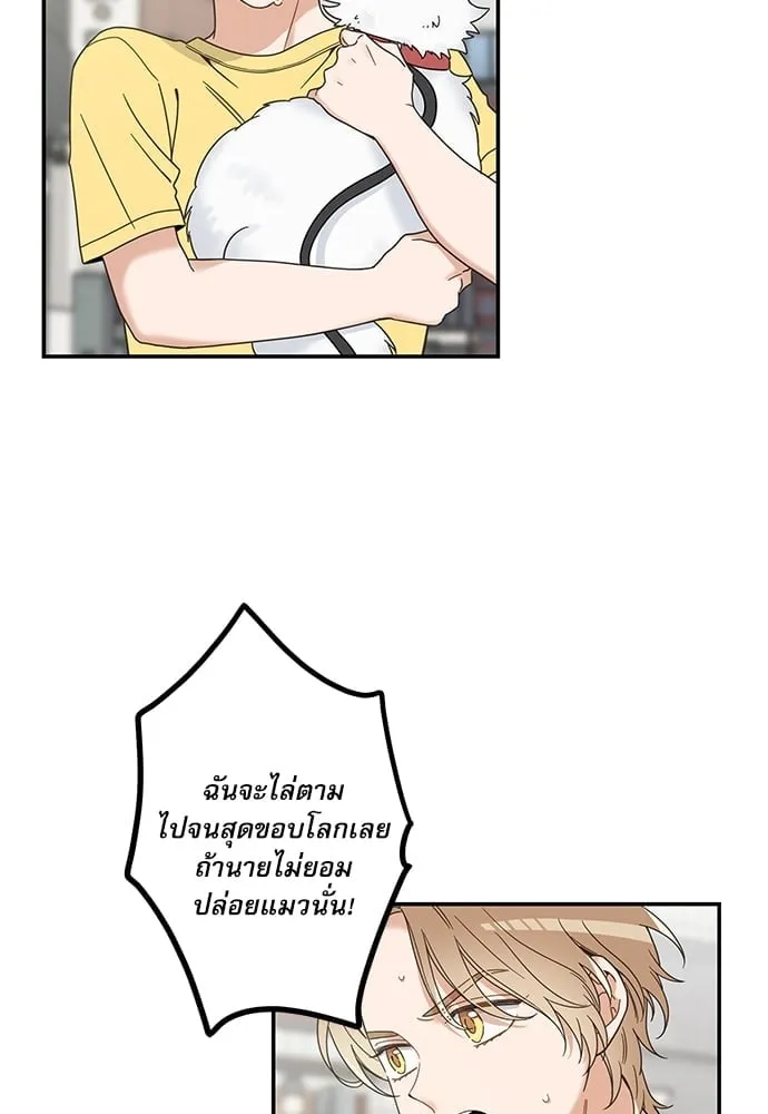 My One and Only Cat ตอนที่ 6259 My One and Only Cat ตอนที่ 6259