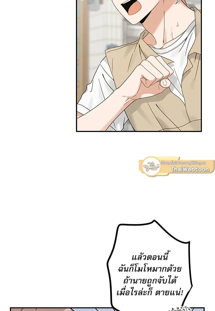 My One and Only Cat ตอนที่ 6260 My One and Only Cat ตอนที่ 6260