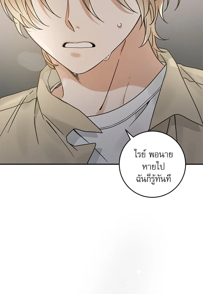 My One and Only Cat ตอนที่ 6263 My One and Only Cat ตอนที่ 6263