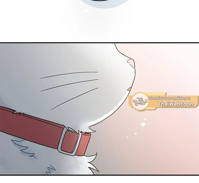 My One and Only Cat ตอนที่ 6266 My One and Only Cat ตอนที่ 6266