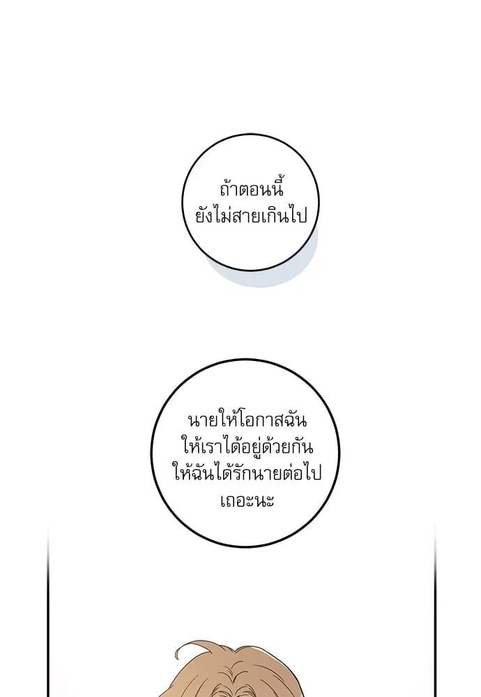 My One and Only Cat ตอนที่ 6267 My One and Only Cat ตอนที่ 6267