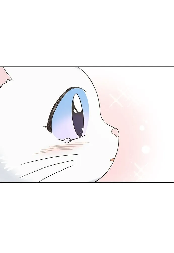 My One and Only Cat ตอนที่ 6269 My One and Only Cat ตอนที่ 6269