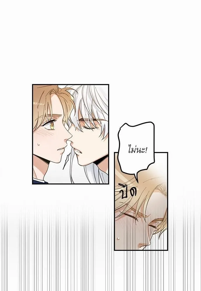 My One and Only Cat ตอนที่ 627 My One and Only Cat ตอนที่ 627