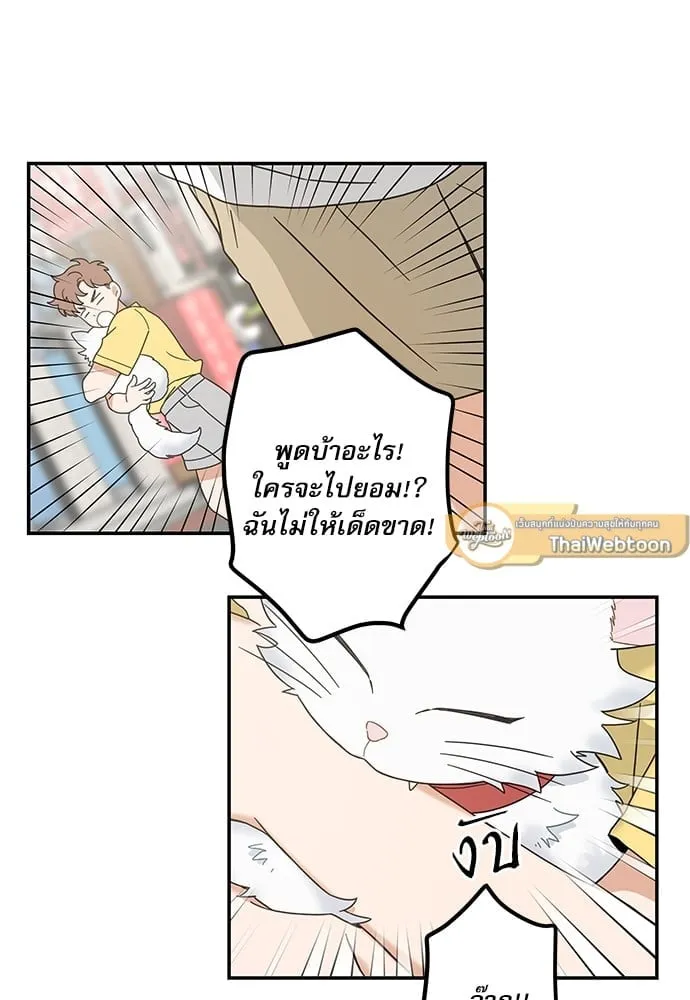 My One and Only Cat ตอนที่ 6270 My One and Only Cat ตอนที่ 6270