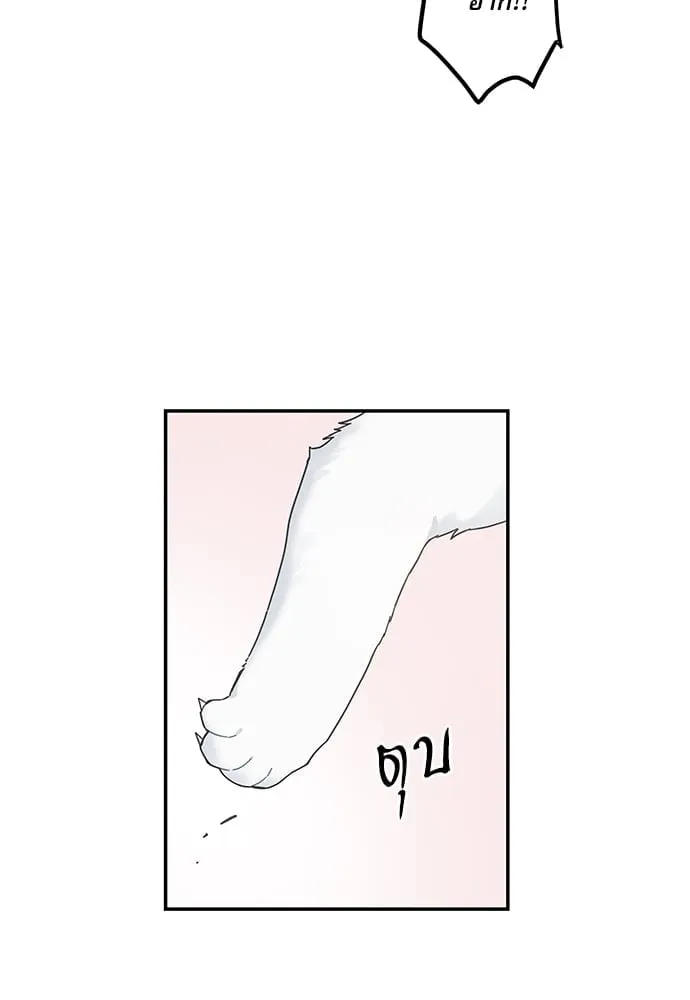 My One and Only Cat ตอนที่ 6271 My One and Only Cat ตอนที่ 6271