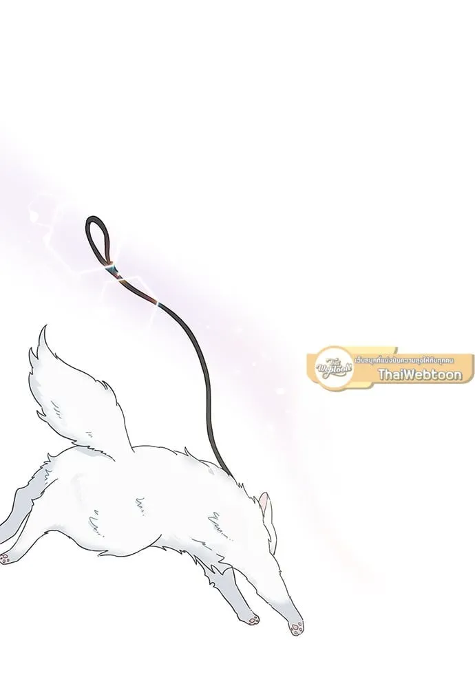 My One and Only Cat ตอนที่ 6272 My One and Only Cat ตอนที่ 6272