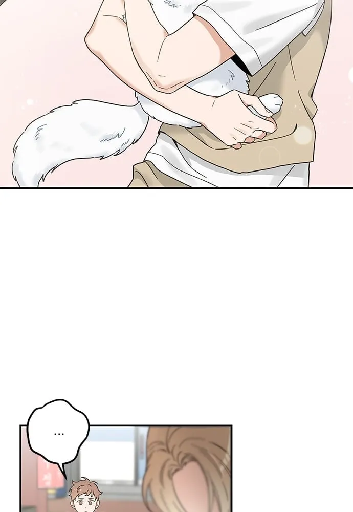 My One and Only Cat ตอนที่ 6276 My One and Only Cat ตอนที่ 6276