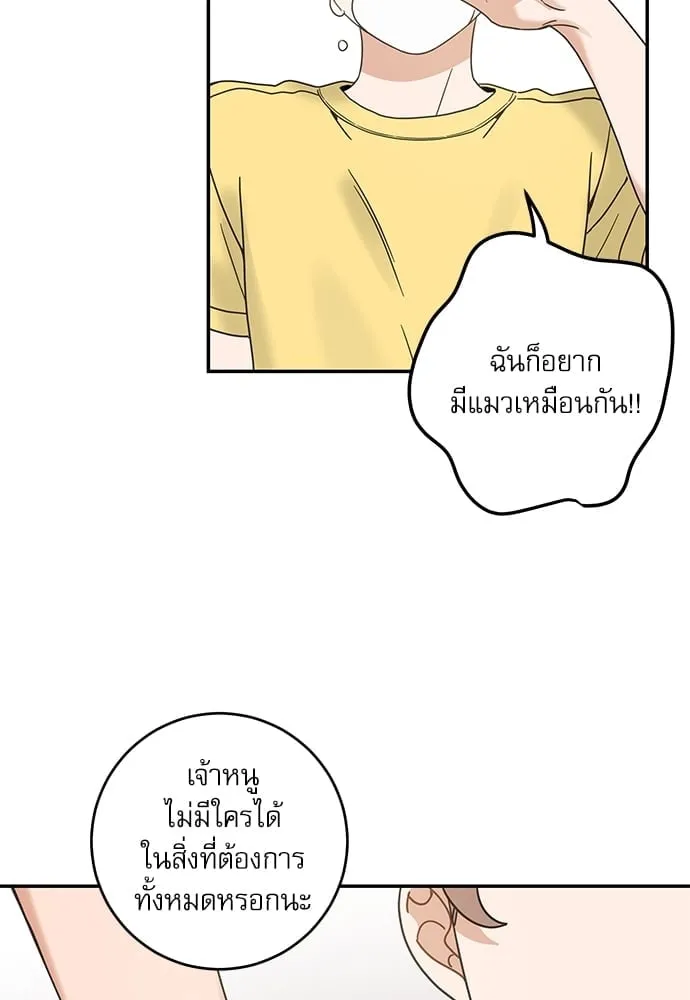 My One and Only Cat ตอนที่ 6278 My One and Only Cat ตอนที่ 6278