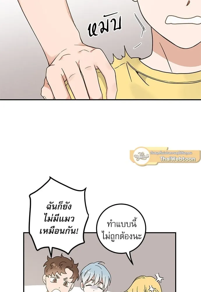 My One and Only Cat ตอนที่ 6279 My One and Only Cat ตอนที่ 6279