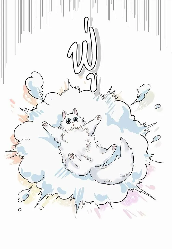 My One and Only Cat ตอนที่ 628 My One and Only Cat ตอนที่ 628