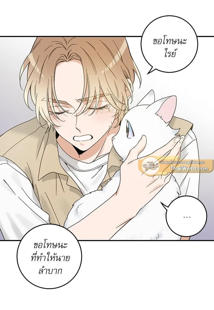 My One and Only Cat ตอนที่ 6281 My One and Only Cat ตอนที่ 6281