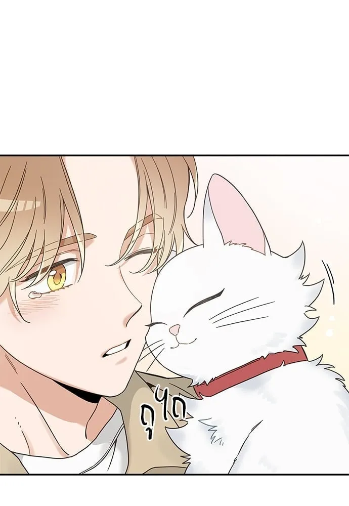 My One and Only Cat ตอนที่ 6282 My One and Only Cat ตอนที่ 6282