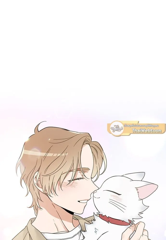 My One and Only Cat ตอนที่ 6283 My One and Only Cat ตอนที่ 6283