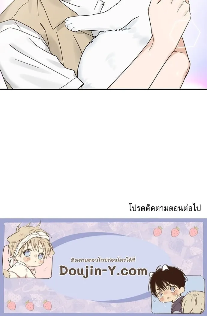 My One and Only Cat ตอนที่ 6284 My One and Only Cat ตอนที่ 6284