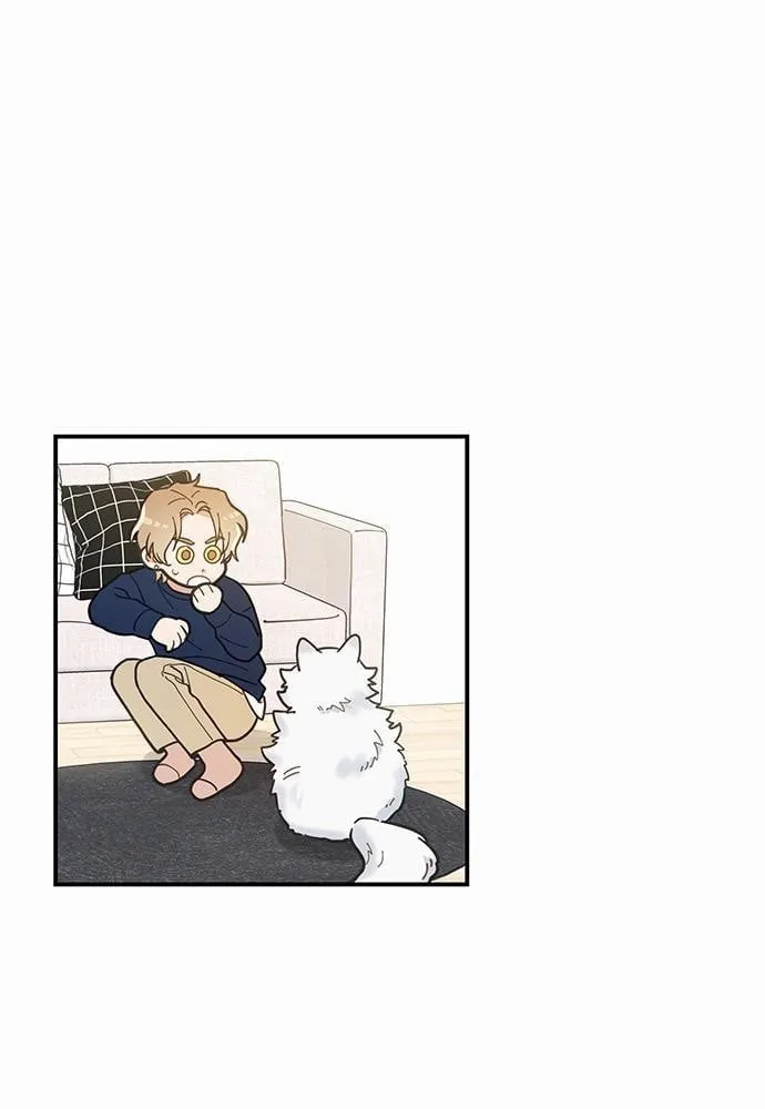 My One and Only Cat ตอนที่ 629 My One and Only Cat ตอนที่ 629