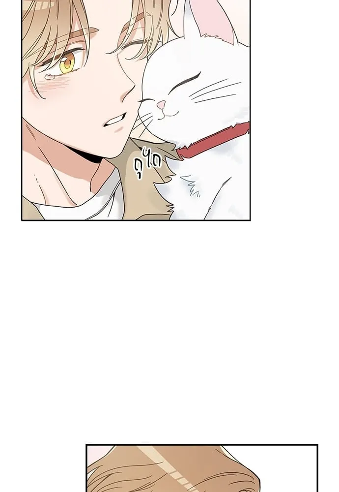 My One and Only Cat ตอนที่ 6301 My One and Only Cat ตอนที่ 6301