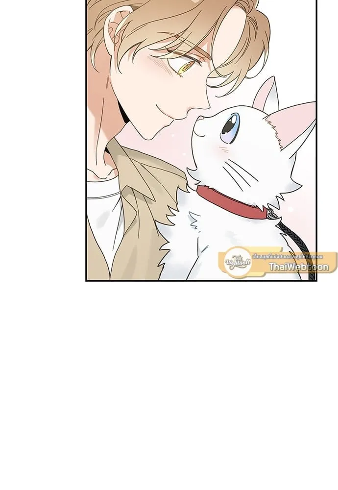 My One and Only Cat ตอนที่ 6302 My One and Only Cat ตอนที่ 6302