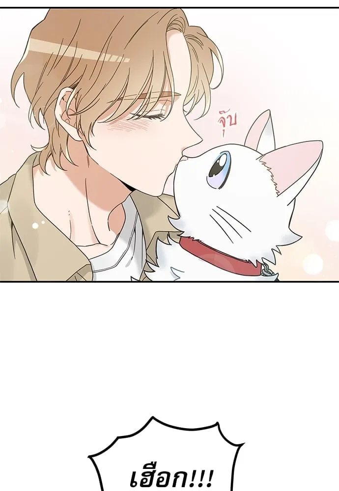 My One and Only Cat ตอนที่ 6303 My One and Only Cat ตอนที่ 6303