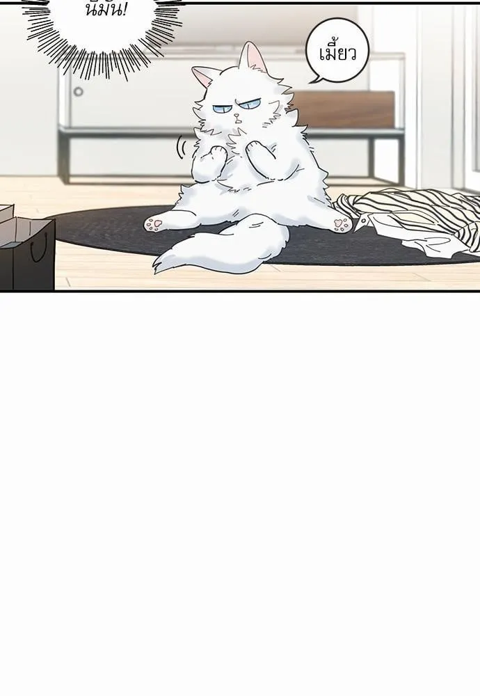 My One and Only Cat ตอนที่ 631 My One and Only Cat ตอนที่ 631