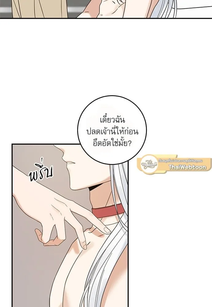 My One and Only Cat ตอนที่ 6310 My One and Only Cat ตอนที่ 6310