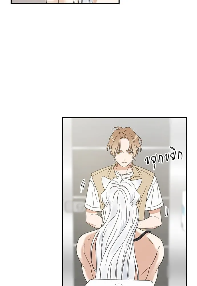 My One and Only Cat ตอนที่ 6311 My One and Only Cat ตอนที่ 6311