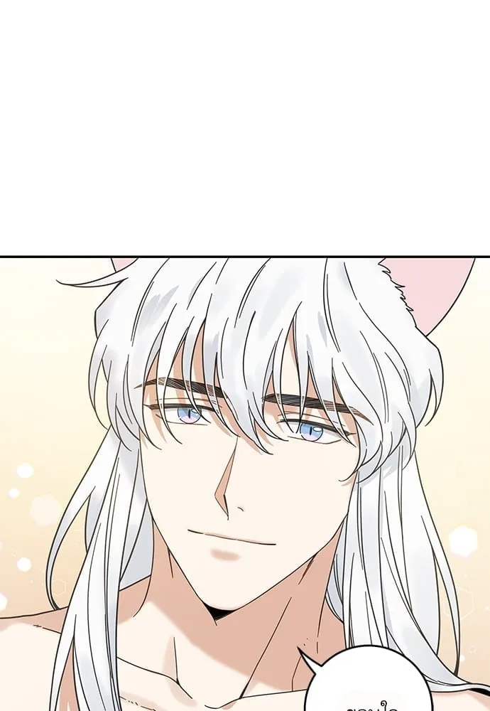 My One and Only Cat ตอนที่ 6313 My One and Only Cat ตอนที่ 6313