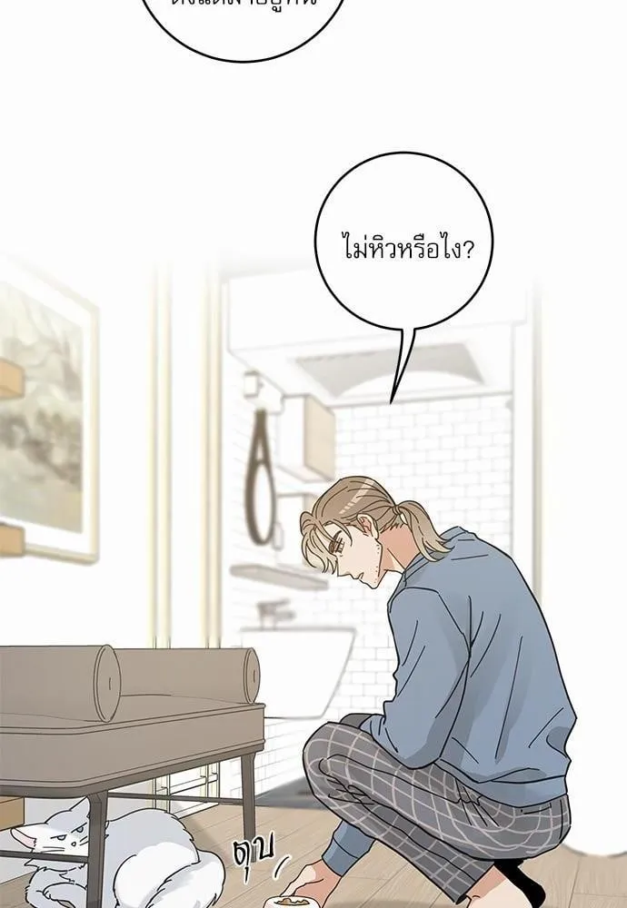 My One and Only Cat ตอนที่ 6314