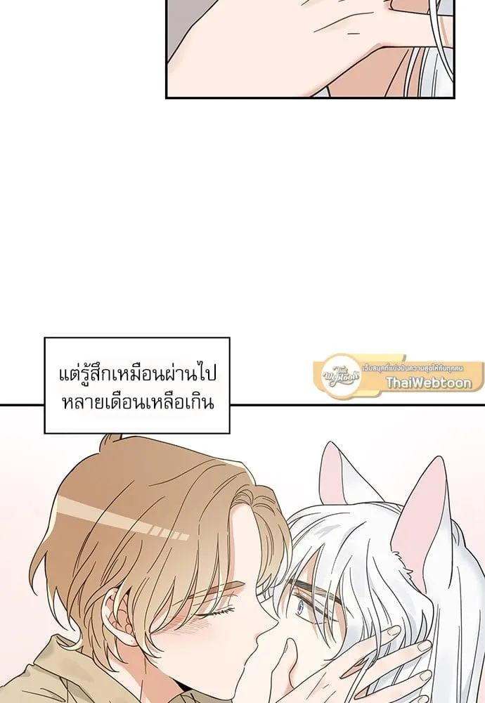 My One and Only Cat ตอนที่ 6316 My One and Only Cat ตอนที่ 6316
