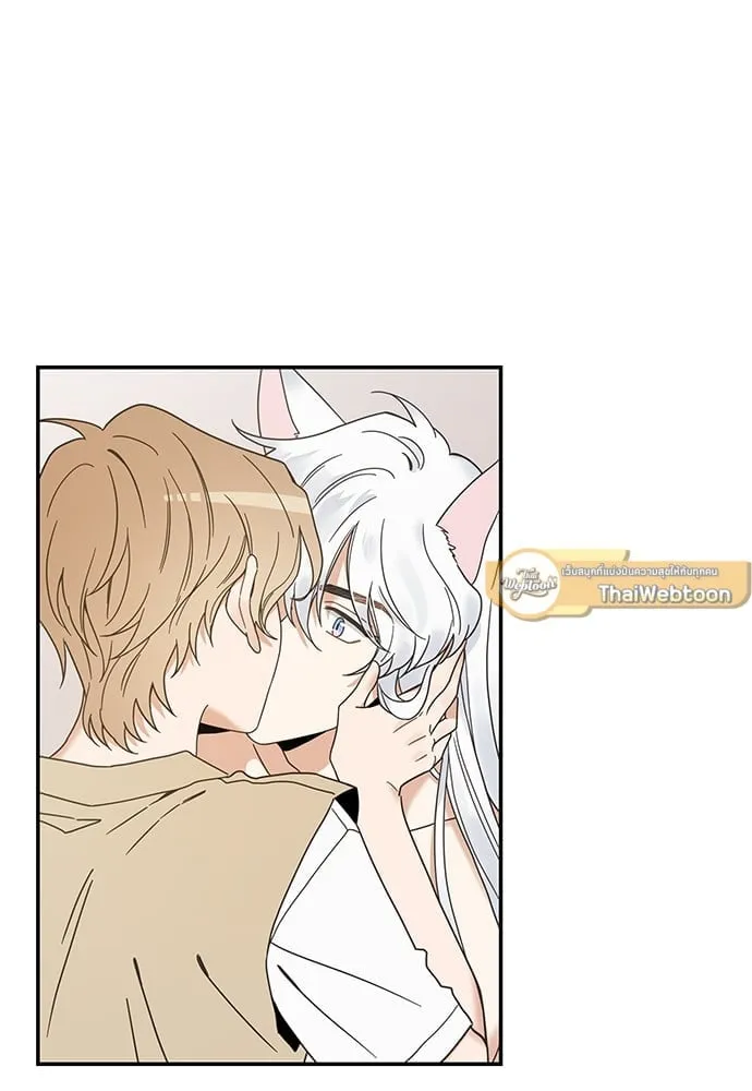 My One and Only Cat ตอนที่ 6317 My One and Only Cat ตอนที่ 6317