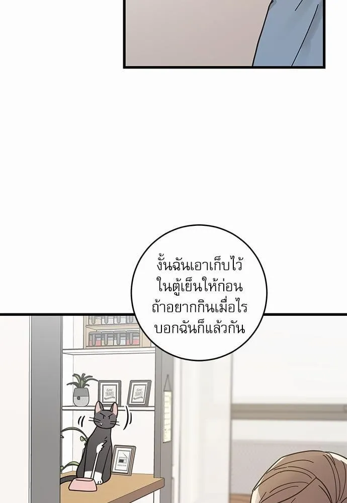 My One and Only Cat ตอนที่ 6317