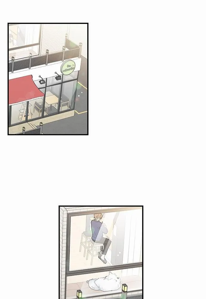 My One and Only Cat ตอนที่ 632 My One and Only Cat ตอนที่ 632