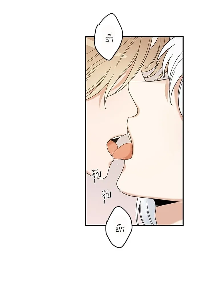 My One and Only Cat ตอนที่ 6320 My One and Only Cat ตอนที่ 6320