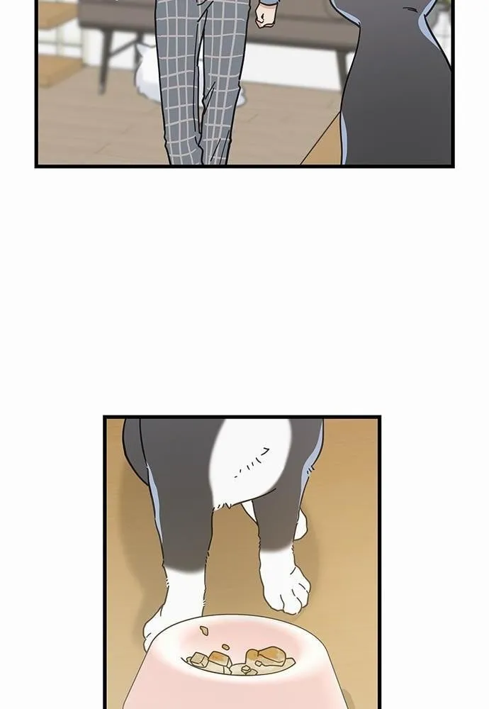 My One and Only Cat ตอนที่ 6320