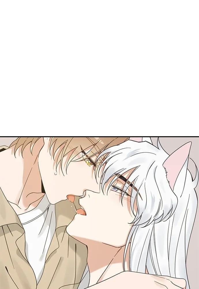 My One and Only Cat ตอนที่ 6322 My One and Only Cat ตอนที่ 6322