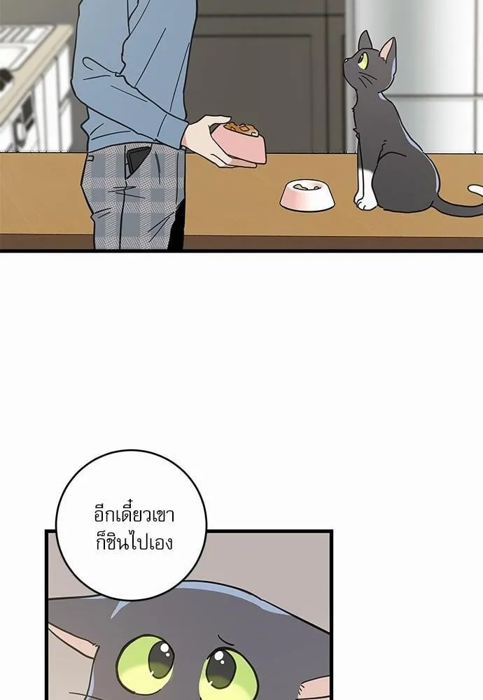 My One and Only Cat ตอนที่ 6322