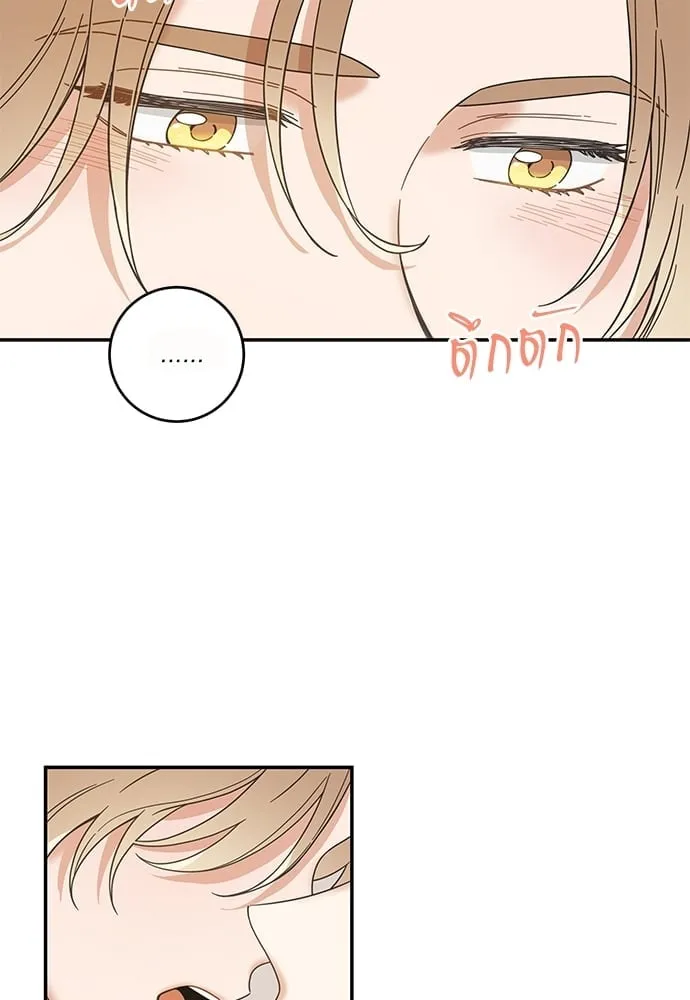 My One and Only Cat ตอนที่ 6324 My One and Only Cat ตอนที่ 6324