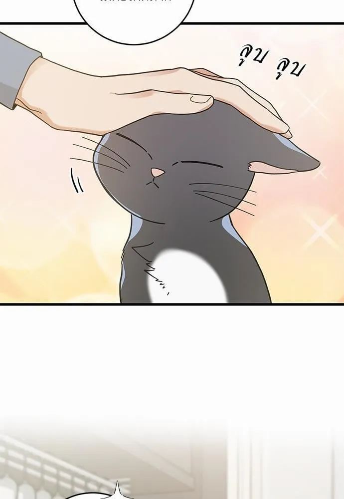My One and Only Cat ตอนที่ 6325