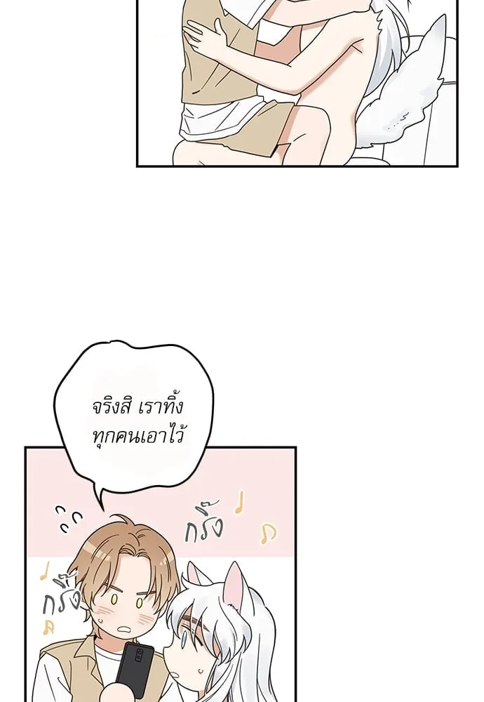 My One and Only Cat ตอนที่ 6326 My One and Only Cat ตอนที่ 6326