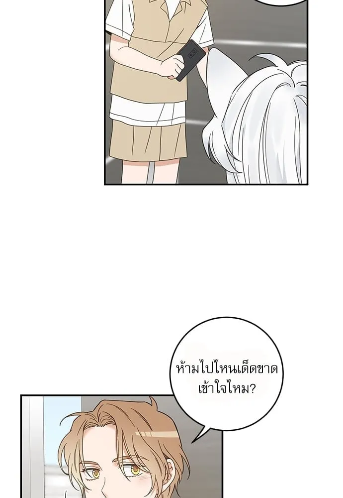 My One and Only Cat ตอนที่ 6328 My One and Only Cat ตอนที่ 6328