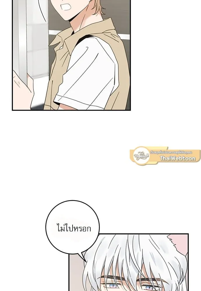 My One and Only Cat ตอนที่ 6329 My One and Only Cat ตอนที่ 6329