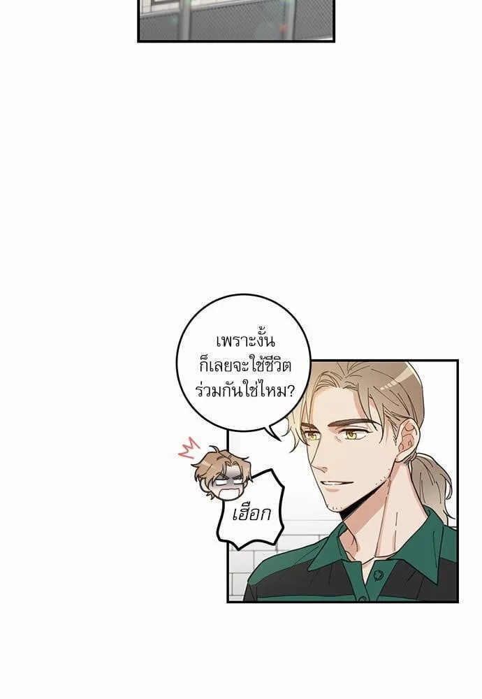 My One and Only Cat ตอนที่ 633 My One and Only Cat ตอนที่ 633