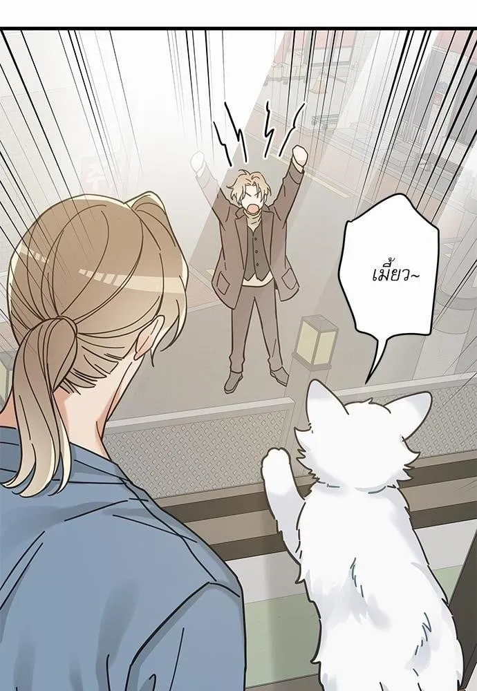 My One and Only Cat ตอนที่ 6330