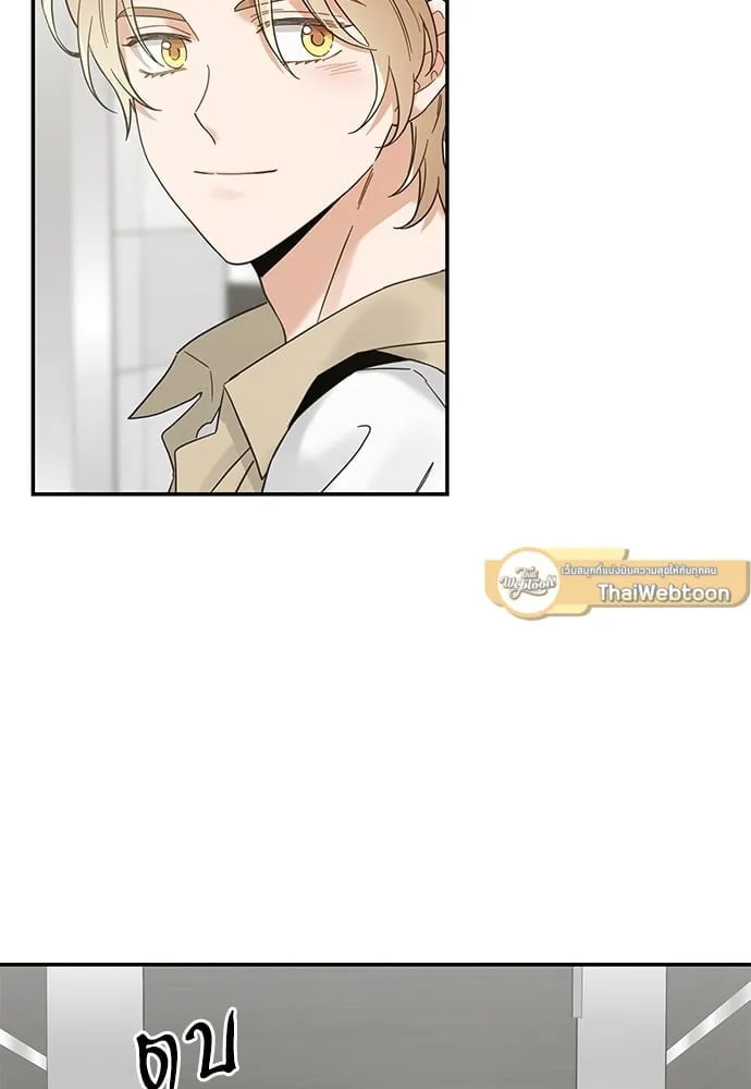 My One and Only Cat ตอนที่ 6331 My One and Only Cat ตอนที่ 6331