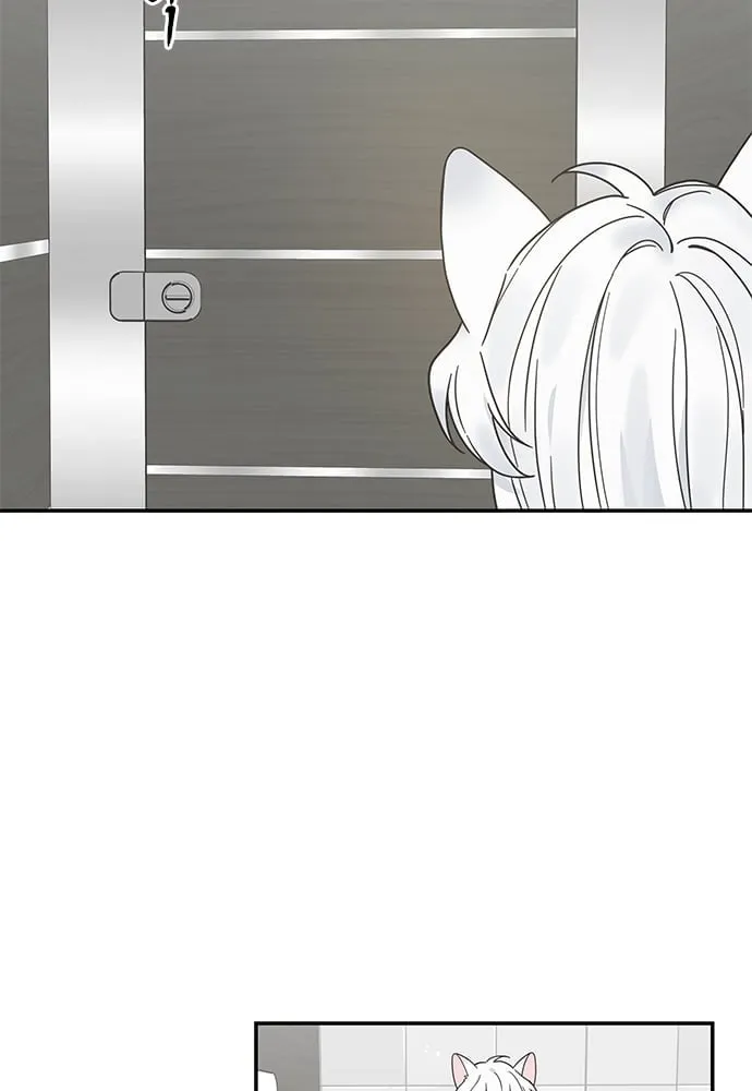 My One and Only Cat ตอนที่ 6332 My One and Only Cat ตอนที่ 6332