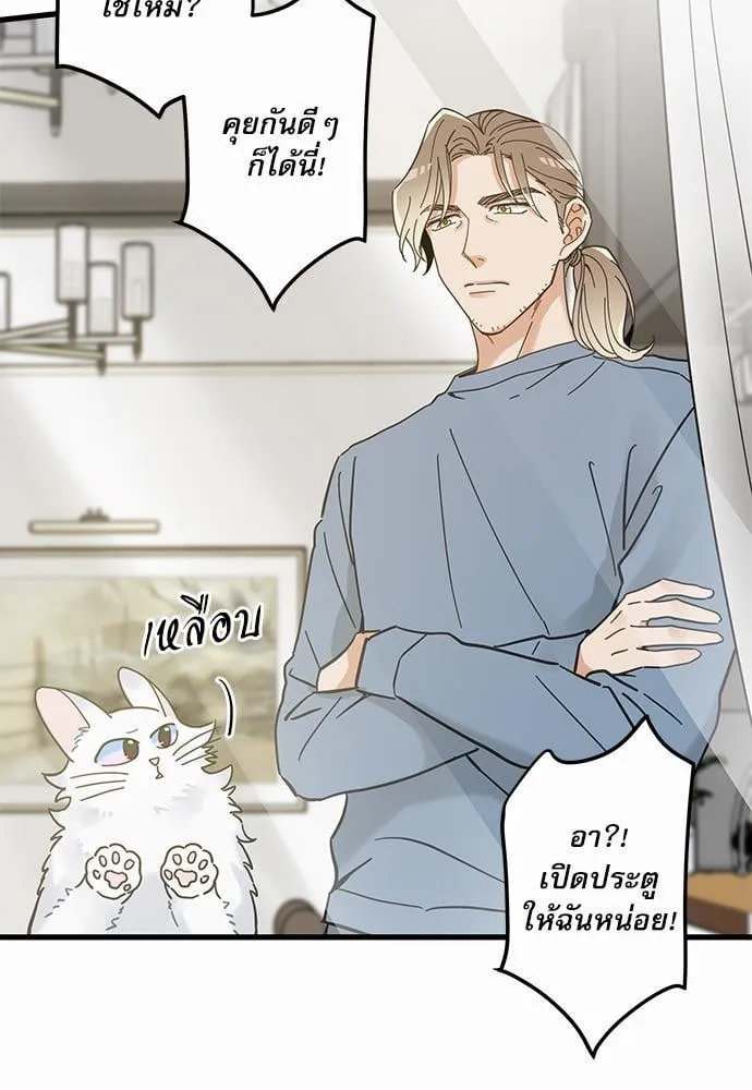 My One and Only Cat ตอนที่ 6333