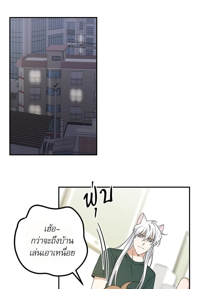 My One and Only Cat ตอนที่ 6336 My One and Only Cat ตอนที่ 6336